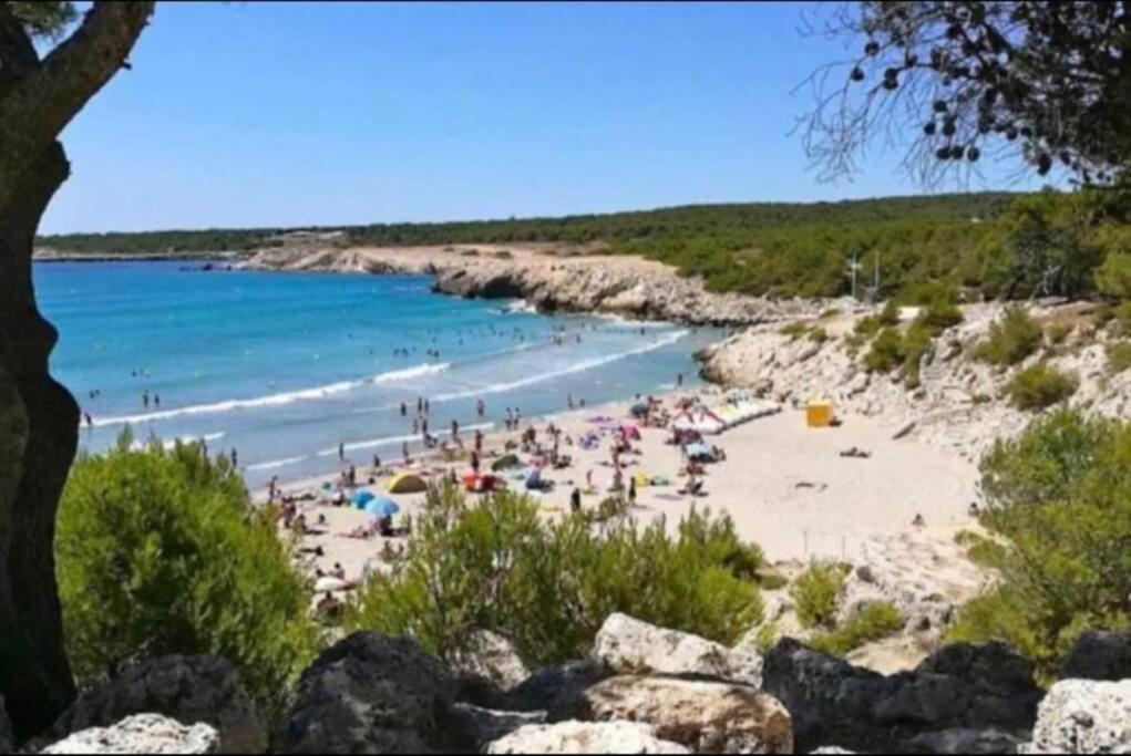 Studio Mer Et Vacances Sausset-les-Pins Eksteriør bilde